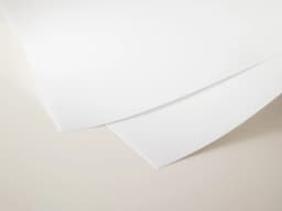 Poster details preview