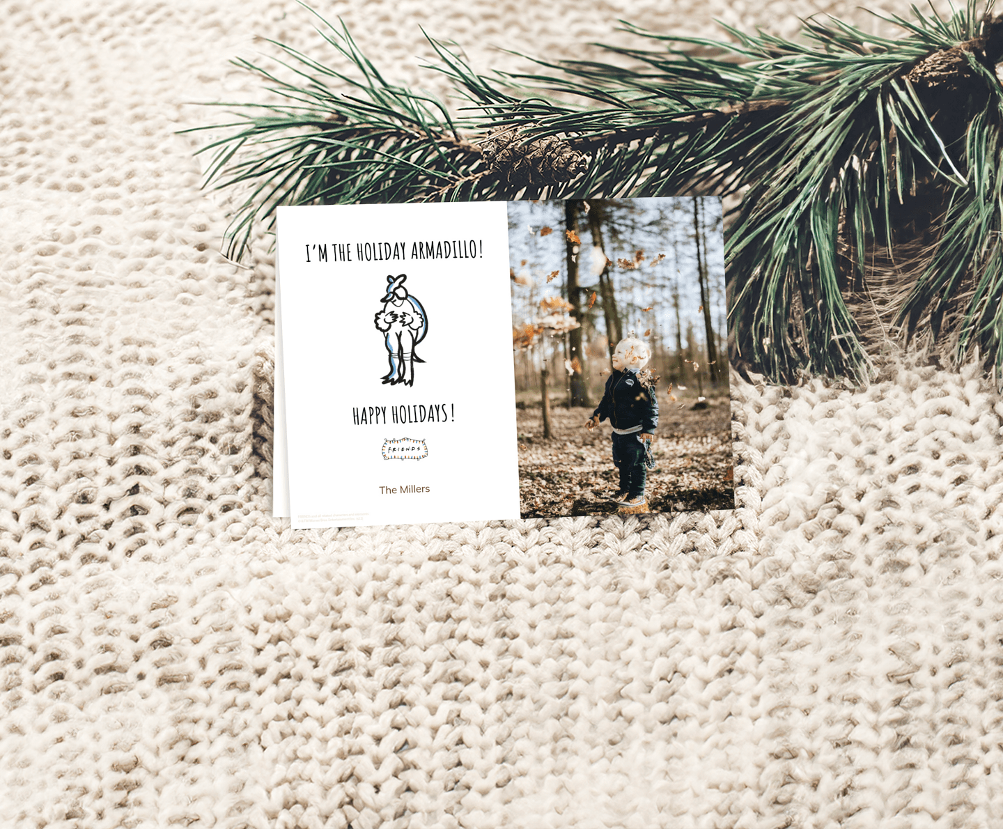 Friends™ Christmas Armadillo Card