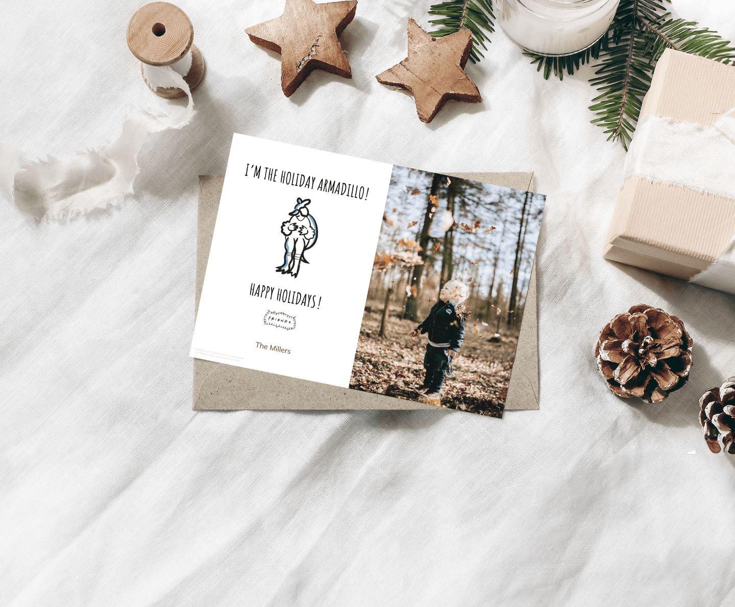 Friends™ Christmas Armadillo Card