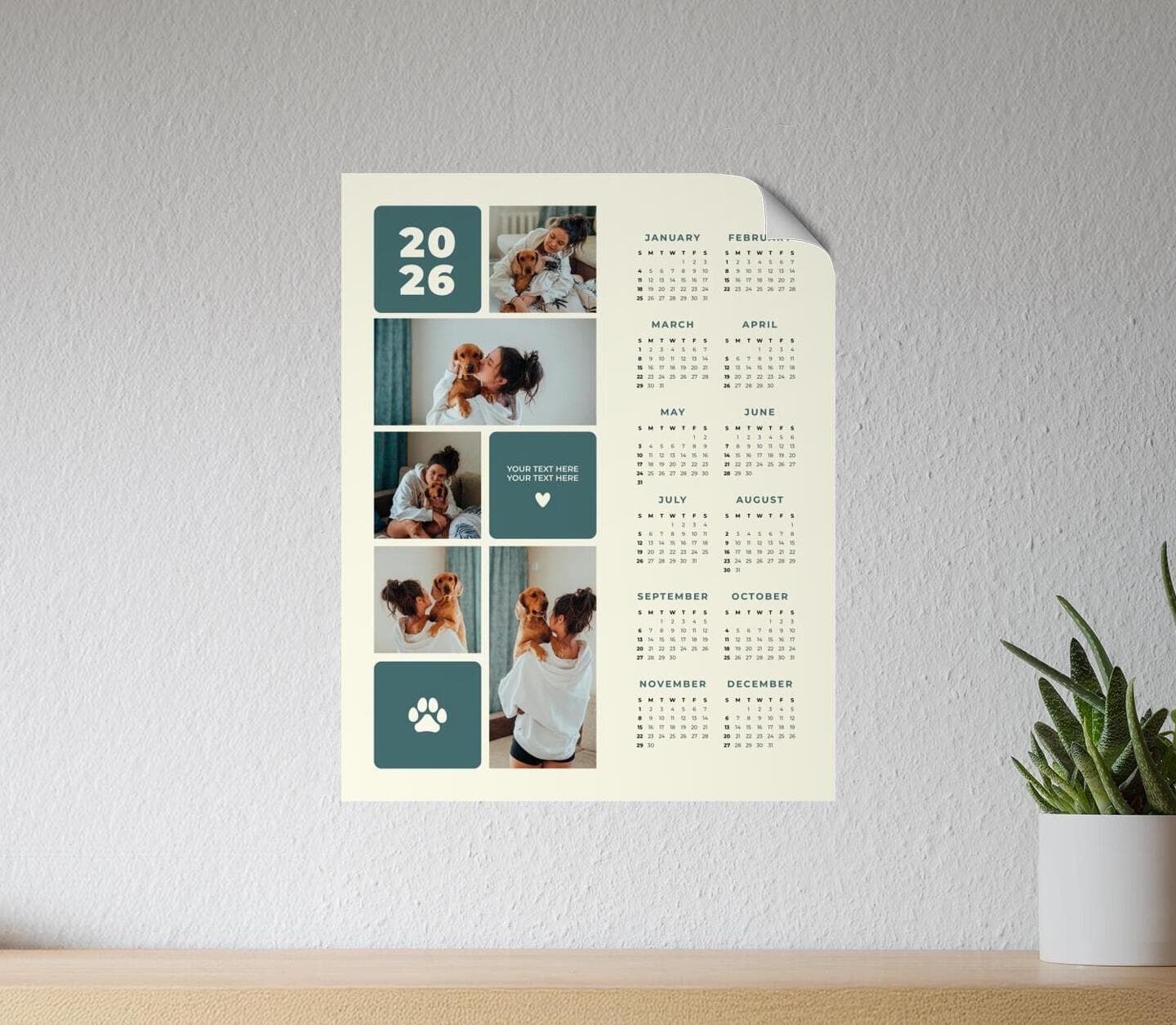 Memory Board Pets Poster