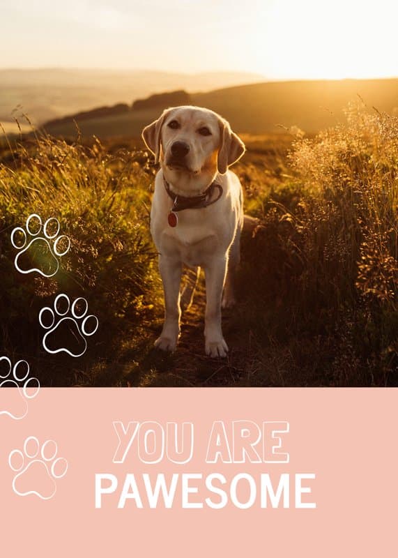 Pawesome Card