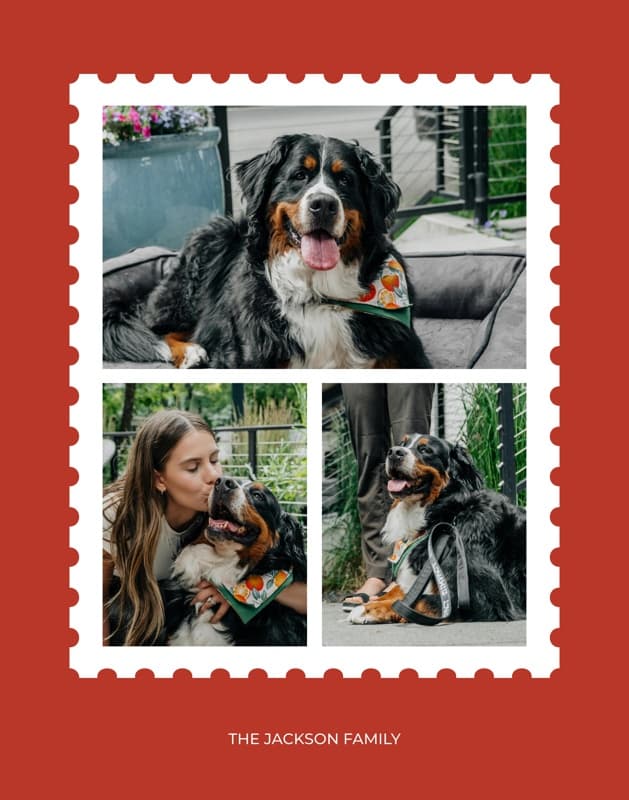 Red Three Photos Poster