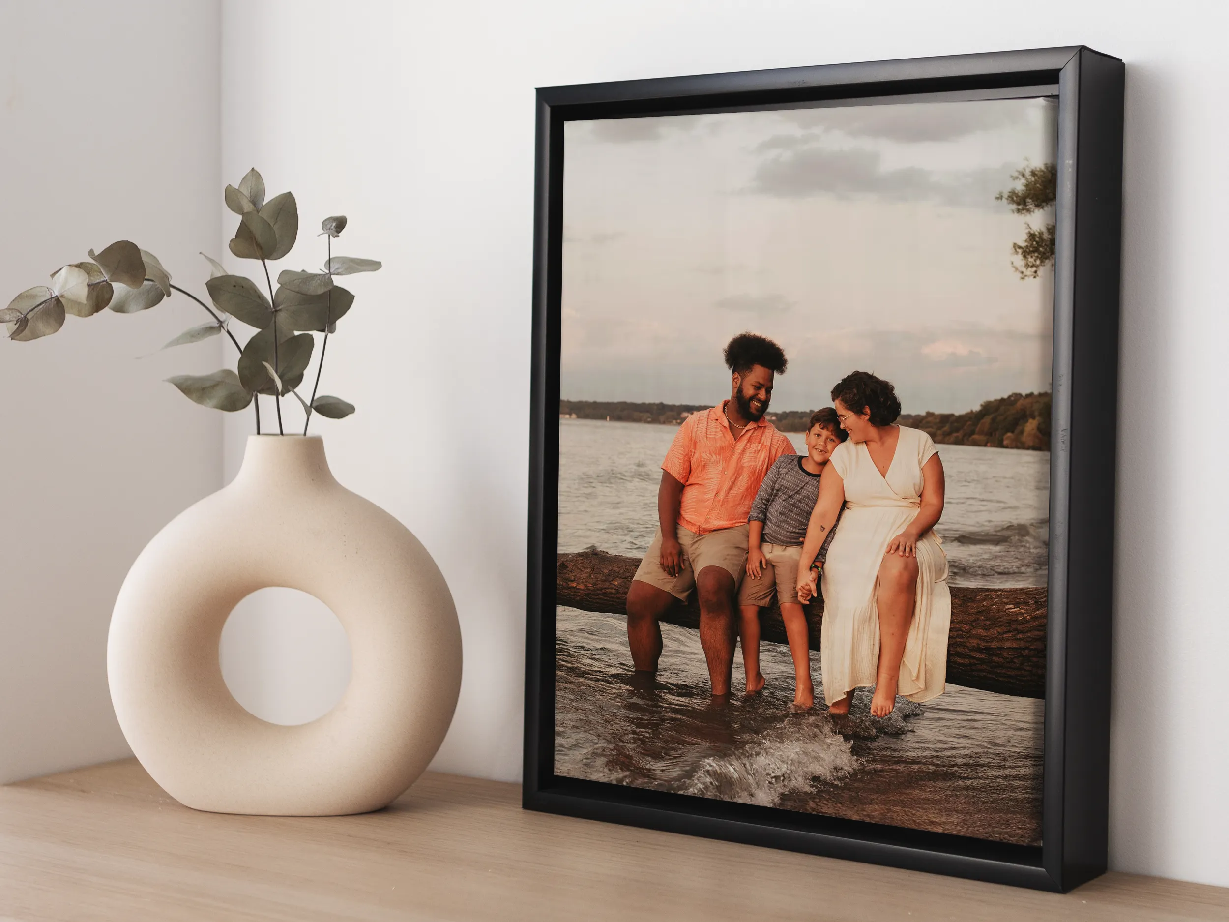 Framed Canvas Prints