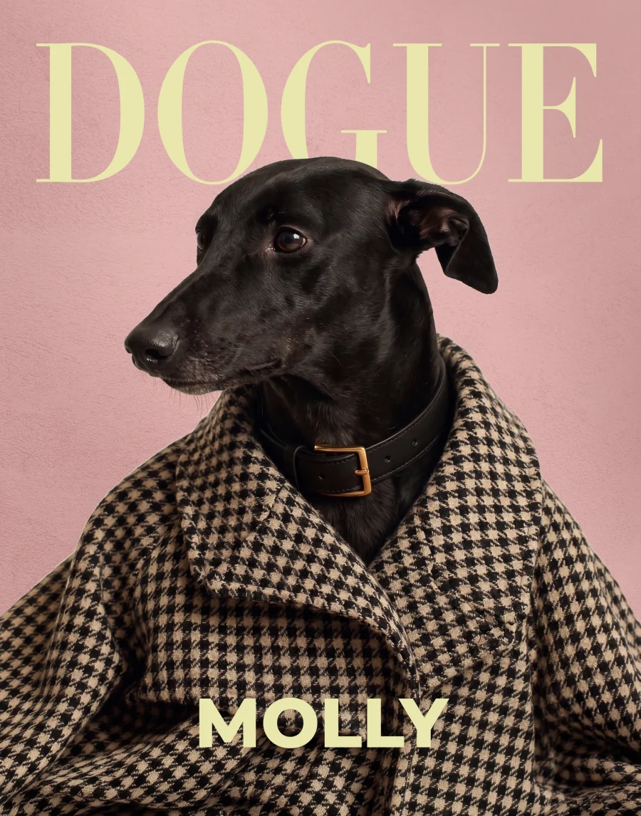 Pink Blush Pet magazine cover pet poster