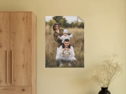 Adhesives Poster 12x18 product preview