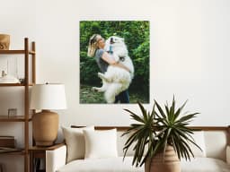 Poster 20x24 product preview