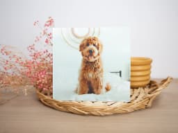 Print 6x6 product preview