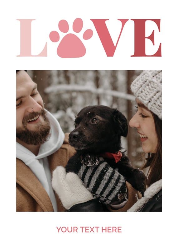 Love paw Card