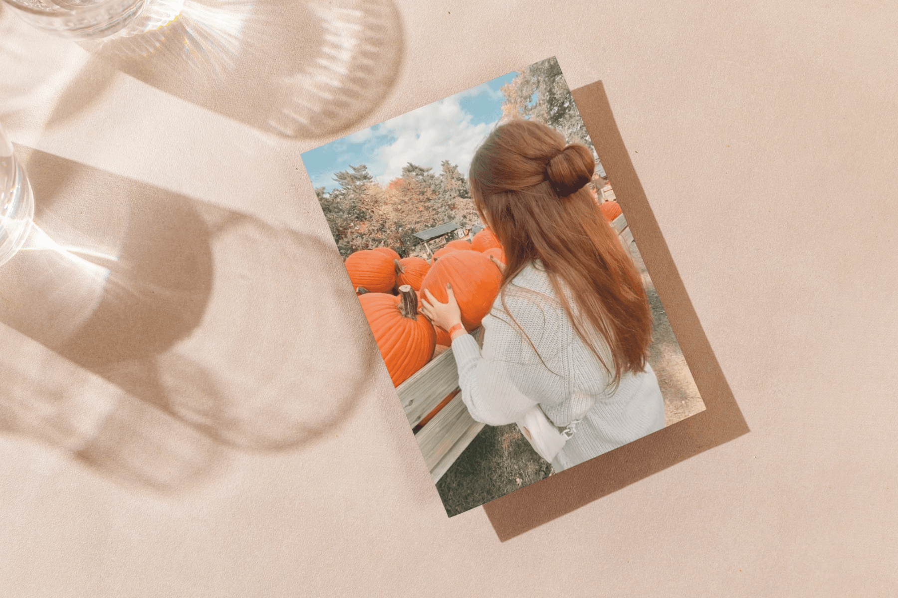 pumpkin patch photos