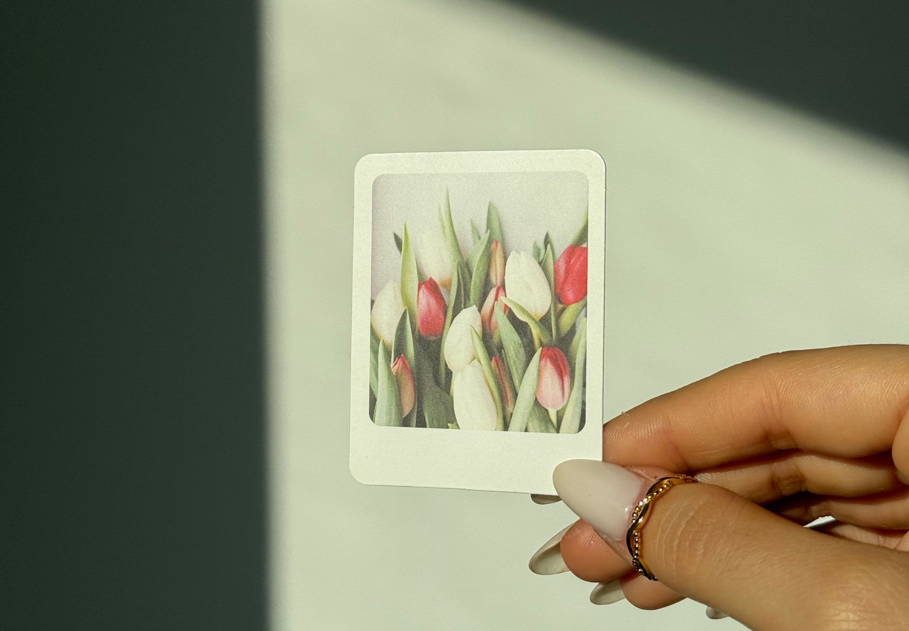Mini photo of tulips held in a hand